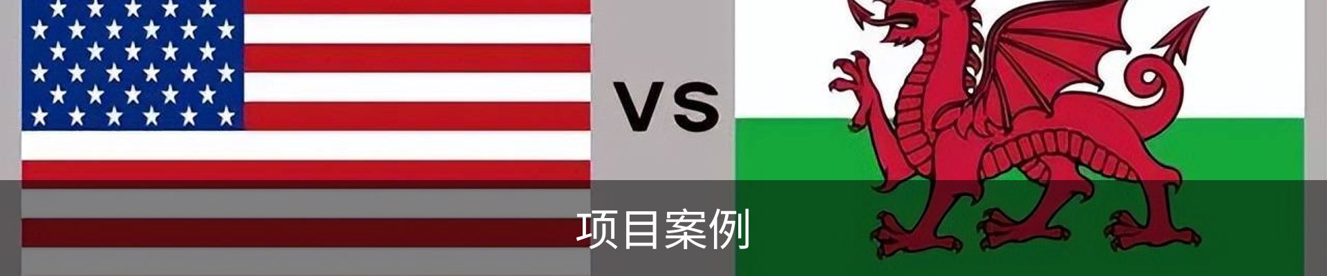 项目案例